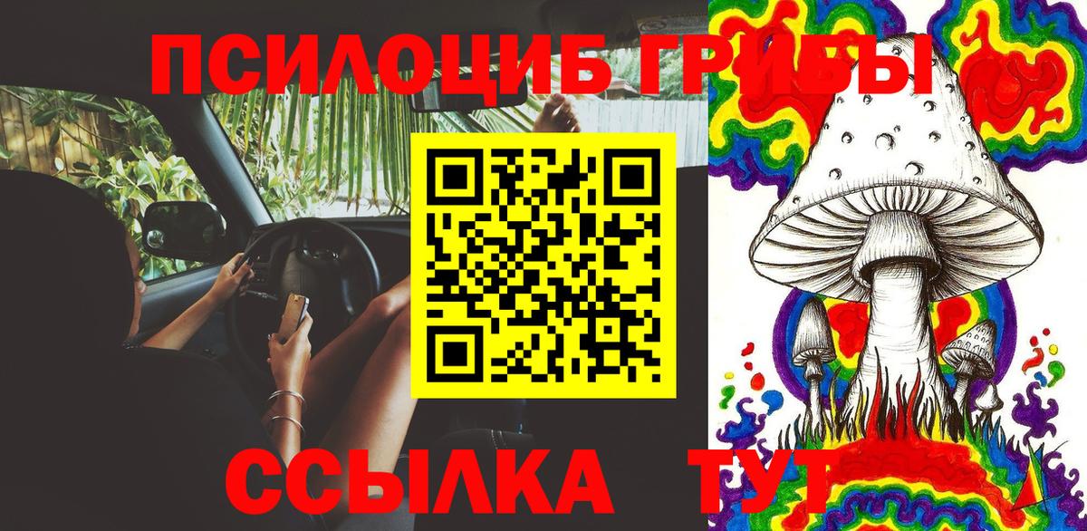 Галлюциногенные грибы GOLDEN TEACHER  Псилоцибиновые грибы мицелий  Вход с VPN  закладки  Орехово-Зуево 