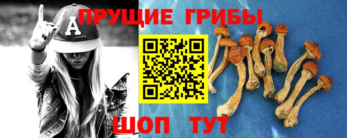 Орехово-Зуево  Галлюциногенные грибы мицелий  Вход с VPN  Галлюциногенные грибы ЛСД 