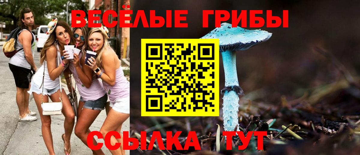 Псилоцибиновые грибы Psilocybine cubensis Орехово-Зуево